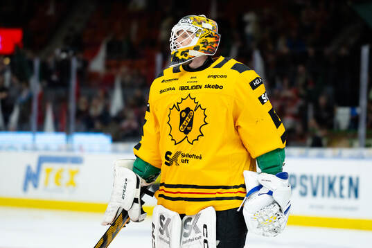 Skellefteås målvakt Alexander Hellnemo innan semifinal