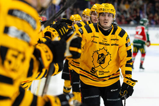 Skellefteås Max Lindholm jublar