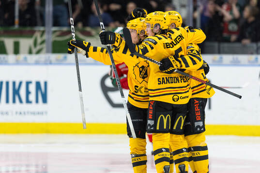 Skellefteås Axel Sandin Pellikka jublar