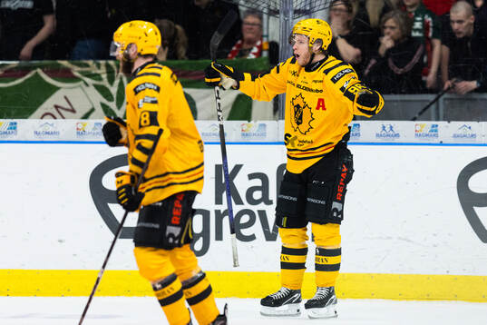 Skellefteås Rickard Hugg jublar