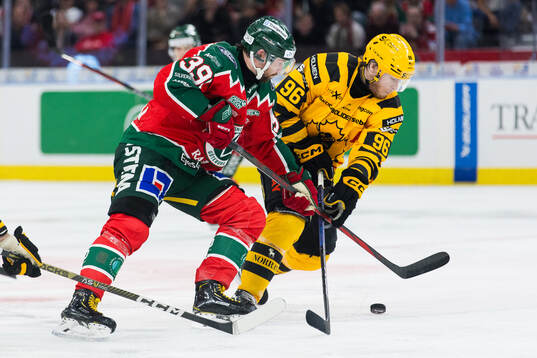 Frölundas Mikael Ruohomaa och Skellefteås Rickard Hugg