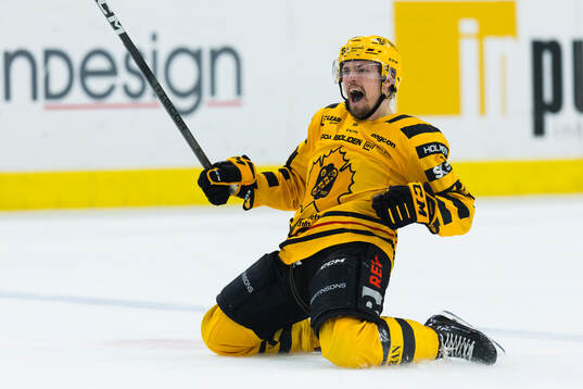 Bläddra bland fler bilder av Ishockey, SHL, Semifinal 4, Frölunda - Skellefteå