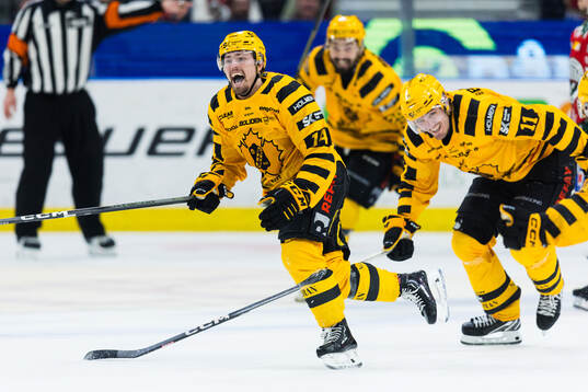 Skellefteås Andreas Johnson jublar