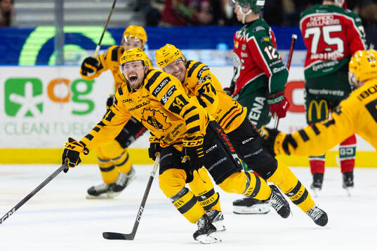 Skellefteås Andreas Johnson jublar
