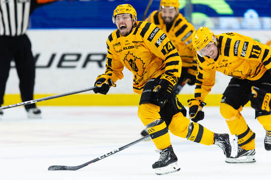 Skellefteås Andreas Johnson jublar