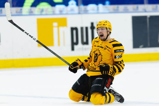 Skellefteås Andreas Johnson jublar