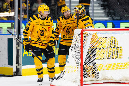 Skellefteås Pär Lindholm, Andreas Johnson och målvakt