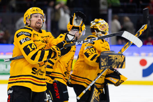 Skellefteås Andreas Johnson