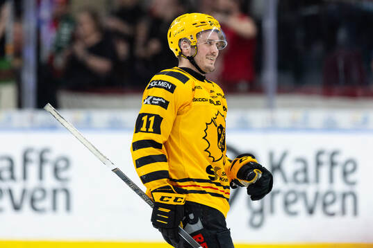 Skellefteås Max Lindholm