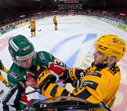 Frölundas Noah Hasa och Skellefteås Martins Dzierkals