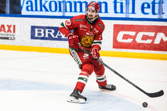 Moras Fabian Ilestedt