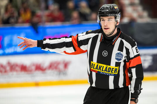 Domare Oscar Niklasson