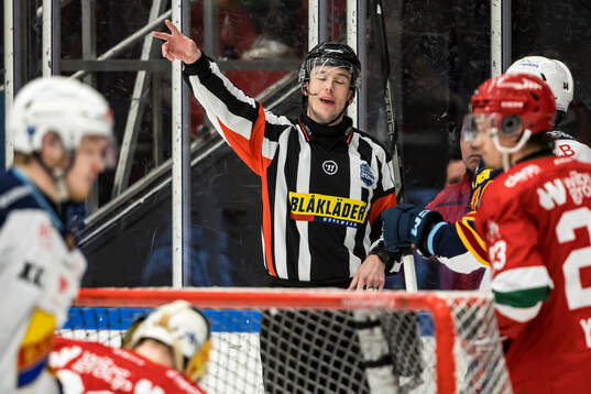 Domare Oscar Niklasson