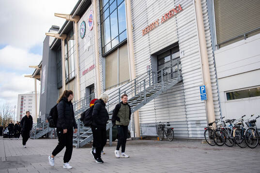Hammarbys assisterande tränare William Strömberg