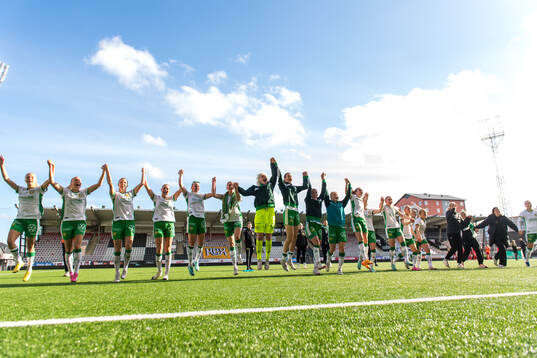 Hammarbys spelare jublar