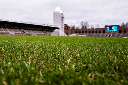 Naturgräs på Stockholms Stadion