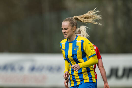 Eskilsminnes Elma Schlaucher Esser