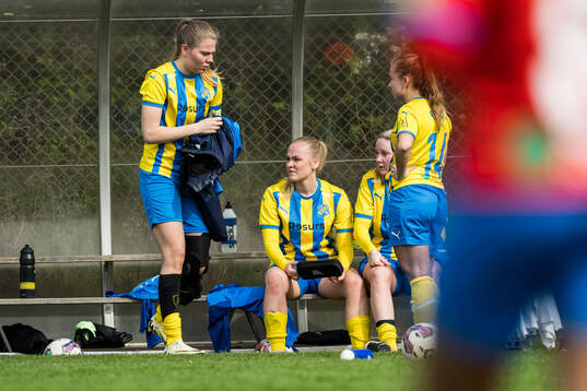 Eskilsminnes Elma Schlaucher Esser och Elma Schlaucher