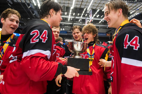 Bläddra bland fler bilder av Ishockey, J18, SM-Final, Örebro - Färjestad