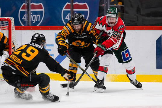 Skellefteås Arvid Lundberg och Frölundas Erik Thorell