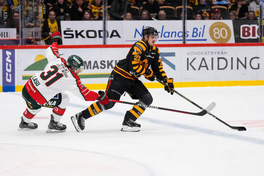 Frölundas Nicklas Lasu och Skellefteås Jonathan Johnson