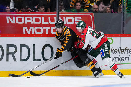 Skellefteås Max Lindholm och Frölundas Isac Heens