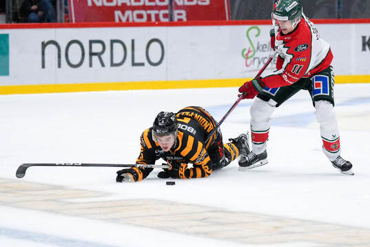 Skellefteås Axel Sandin Pellikka och Frölundas Erik Borg
