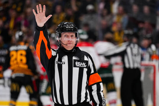 Domare Mikael Holm