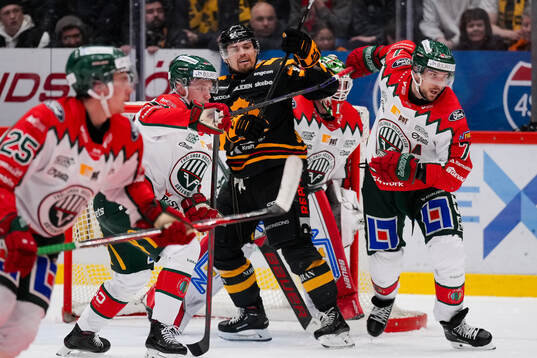 Skellefteås Andreas Johnson och Frölundas Henrik