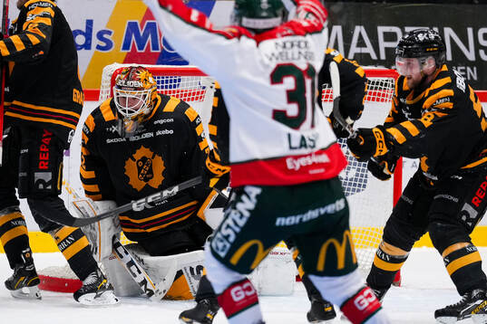 Skellefteås målvakt Linus Söderström deppar