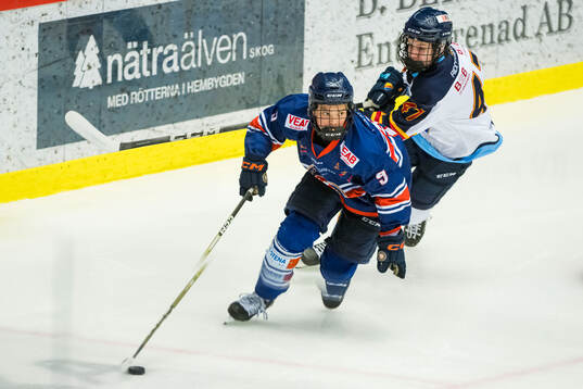 Växjös Yelverton Lindberg Steén och Djurgårdens Jan