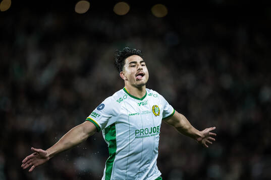 Bläddra bland fler bilder av Fotboll, Allsvenskan, Hammarby - Elfsborg