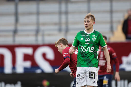 Brages Henry Sletsjøe