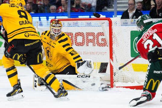 Skellefteås målvakt Linus Söderström och Frölundas