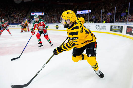 Skellefteås Martins Dzierkals