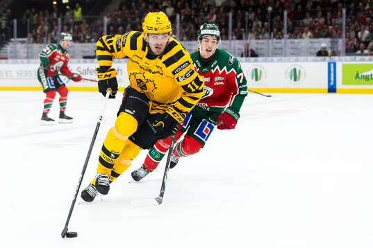 Skellefteås Max Lindholm