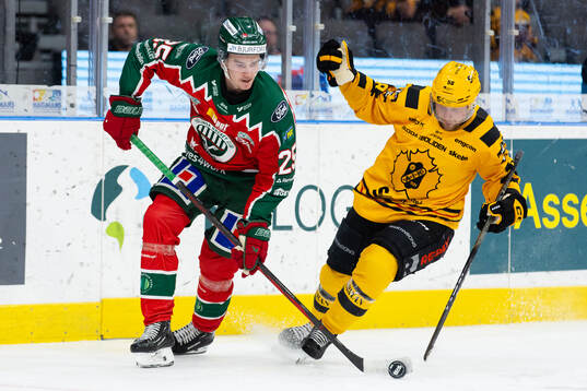 Frölundas Pontus Johansson och Skellefteås Oskar Nilsson