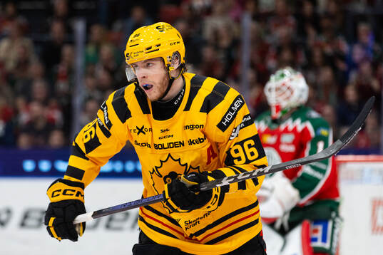 Skellefteås Rickard Hugg