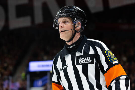 Domare Mikael Nord