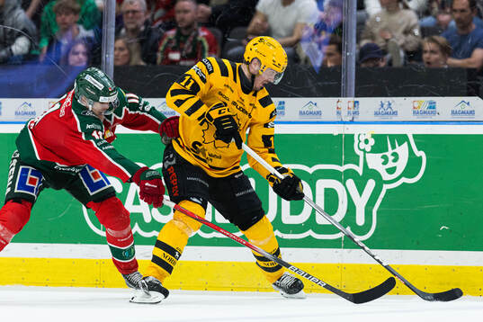 Frölundas Erik Borg och Skellefteås Max Lindholm