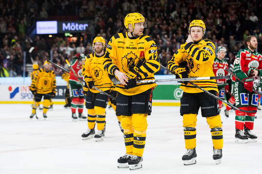 Skellefteås Pär Lindholm och Zeb Forsfjäll deppar
