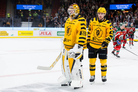 Skellefteås målvakt Linus Söderström och Elias