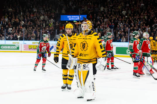 Skellefteås Elias Salomonsson och målvakt Linus