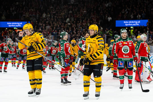 Axel Sandin Pellikka och Anton Heikkinen deppar