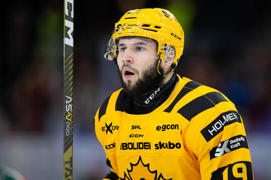 Skellefteås Martins Dzierkals