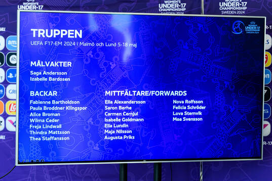 The squad of Sweden