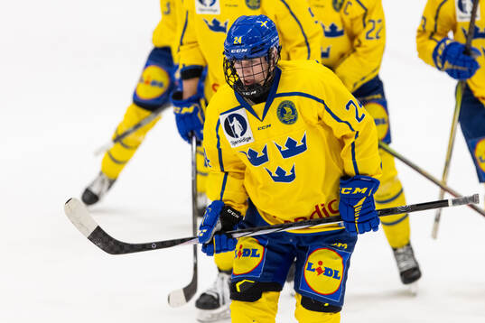 Leo Sundqvist of Sweden celebrates