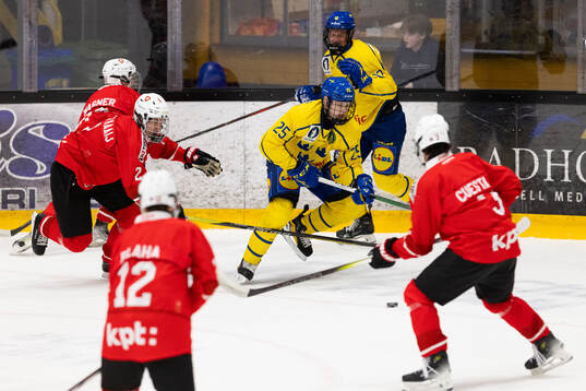 Guus Van Der Kaaij of Switzerland and Viktor Klingsell of