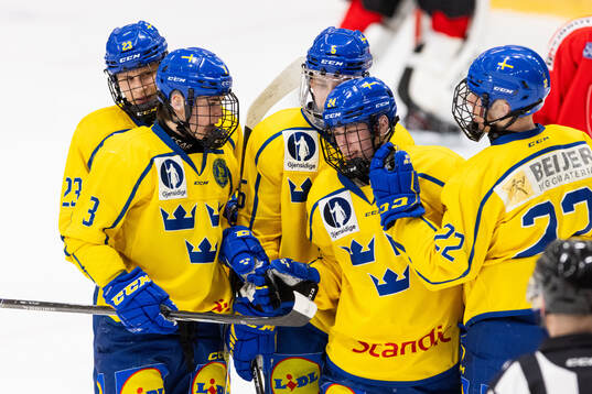 Leo Sundqvist of Sweden celebrates with Noel Skarby, Oliwer