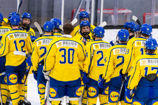 Players of Sweden celebrate